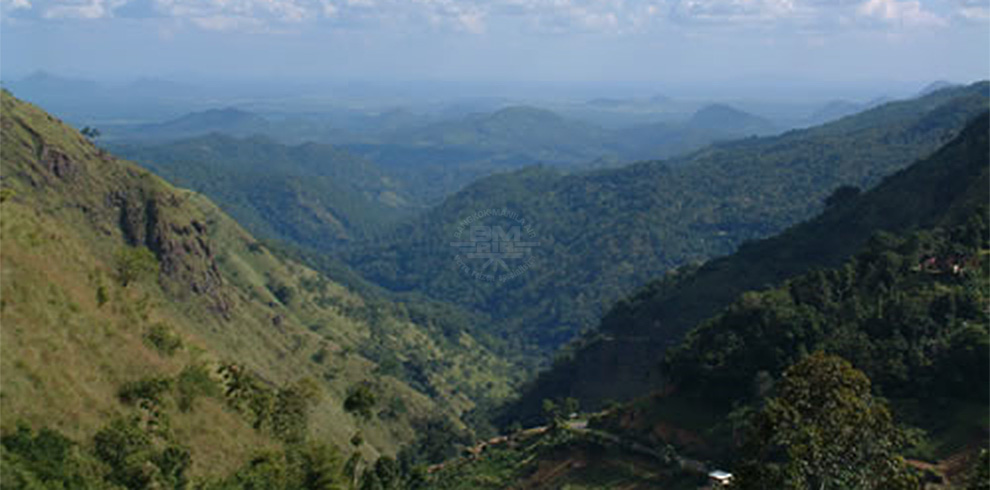 Knuckles Mountain Range