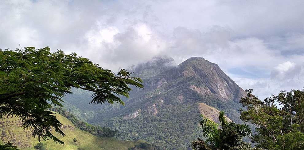 Knuckles Mountain Range