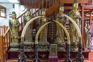 Colombo - Gangaramaya tempel