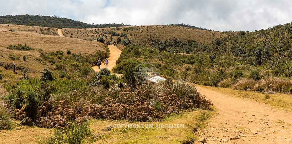 Horton Plains National Park