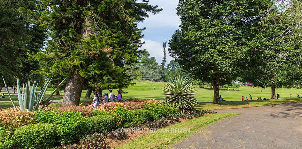 Peradeniya - botanische tuin