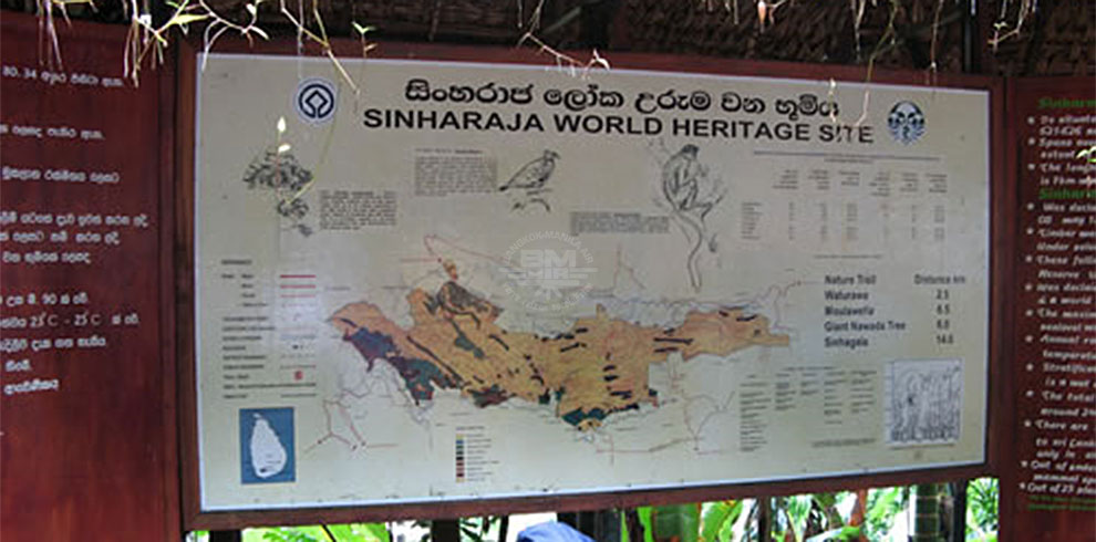 Sinharaja Rain Forest