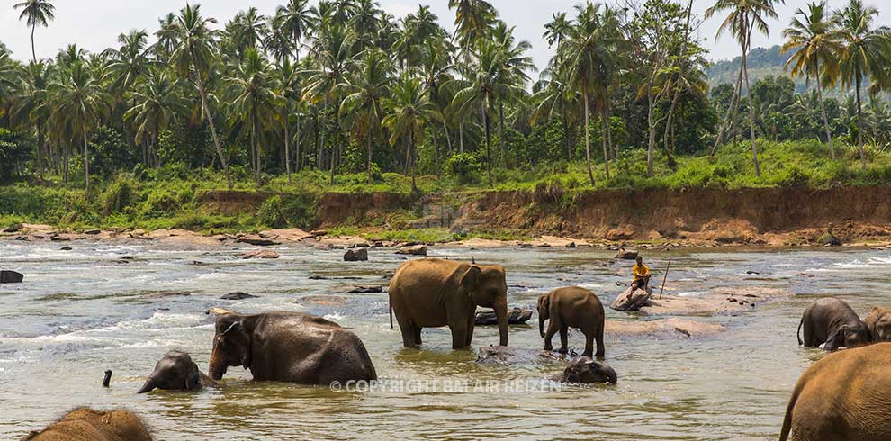 Sri Lanka Kennismakings Tour