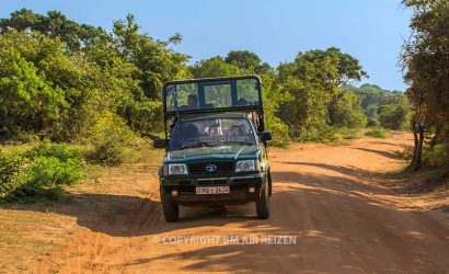 Uda Walawe National Park