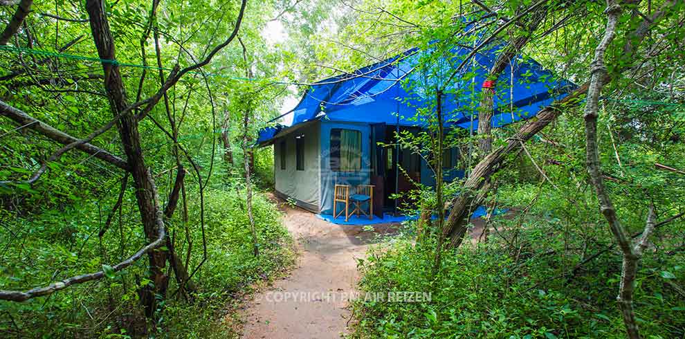 Wilpattu National Park - Big Game Tented Safari Camp