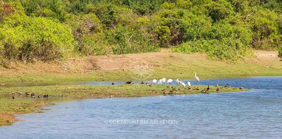 Wilpattu National Park