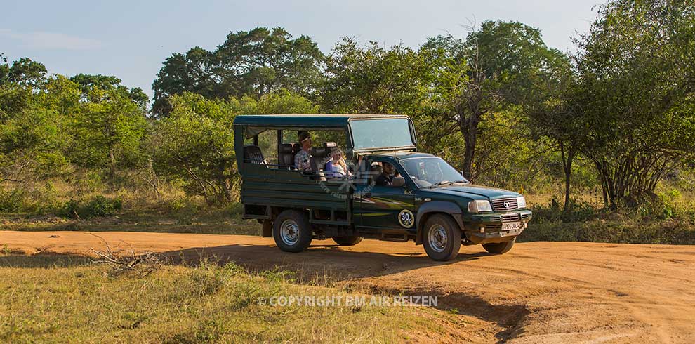 Yala National Park