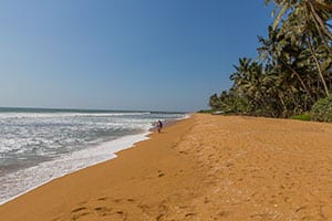 Kalutara - Roy Villa Beach Hotel