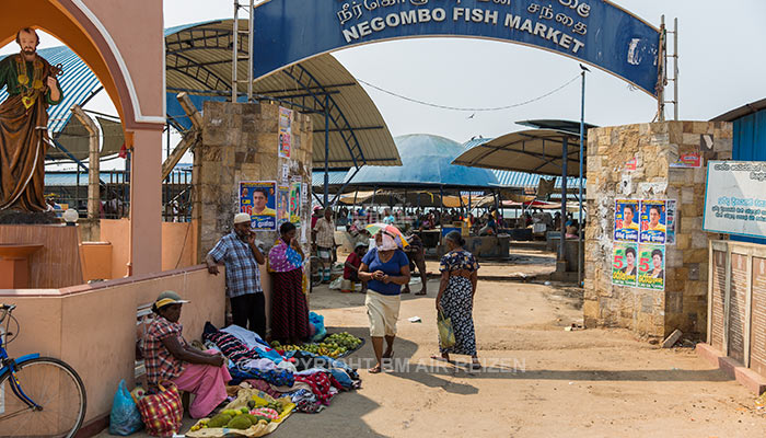 Negombo - Vismarkt