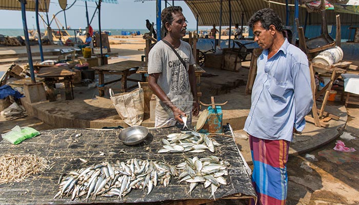 Negombo - Vismarkt