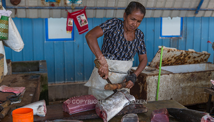 Negombo - Vismarkt