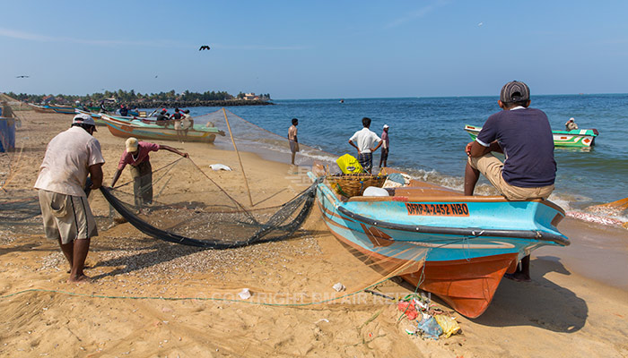 Negombo - Vismarkt