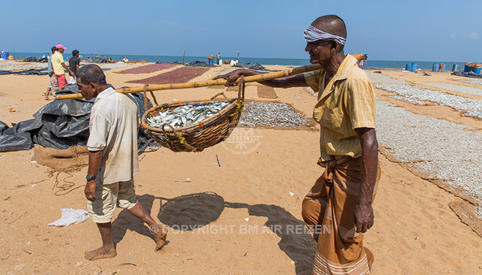 Negombo - Vismarkt