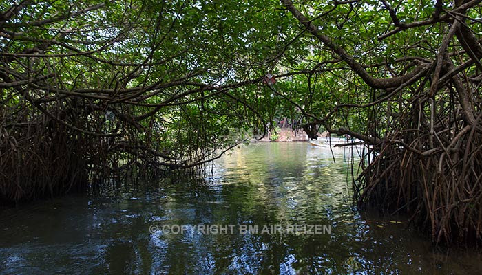 Madu River