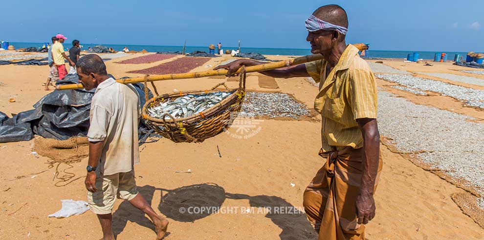 Negombo - Vismarkt