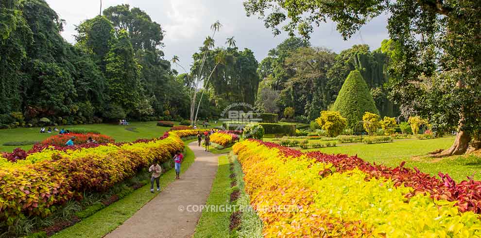 Peradeniya - Botanische Tuin