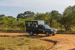 Uda Walawe National Park