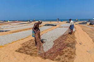 Negombo - vismarkt