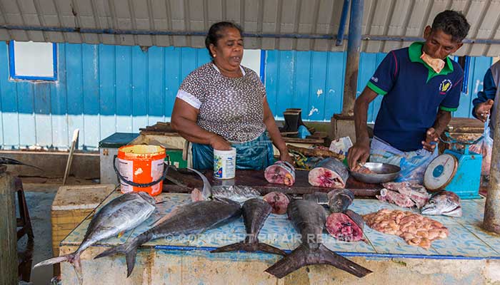 Negombo - vismarkt