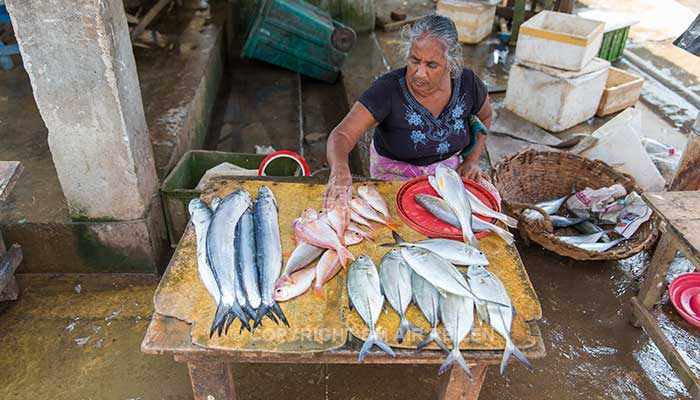 Negombo - vismarkt