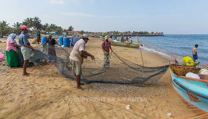 Negombo - vismarkt