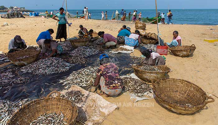 Negombo - vismarkt