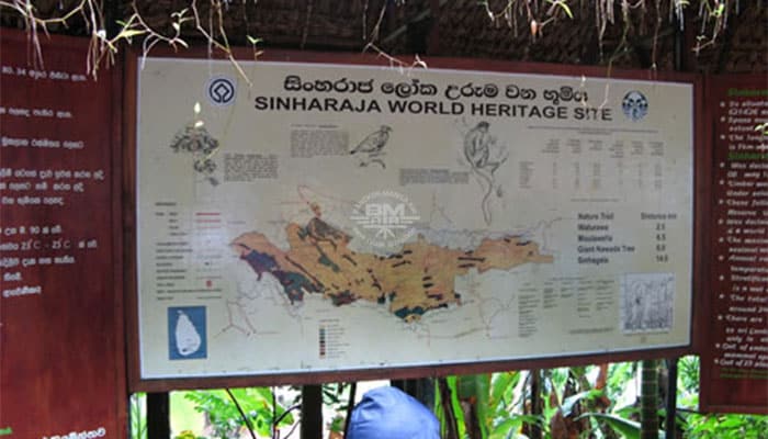 Sinharaja Rain Forest