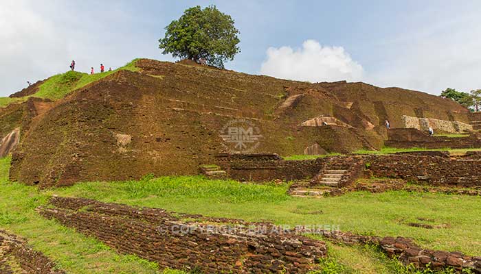 Sigiriya - Leeuwenrots