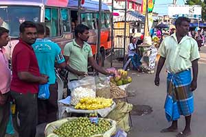 Jaffna