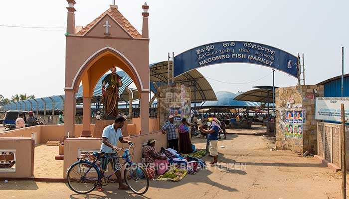 Negombo - vismarkt