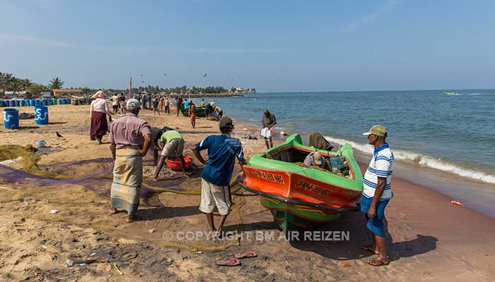 Negombo - vismarkt