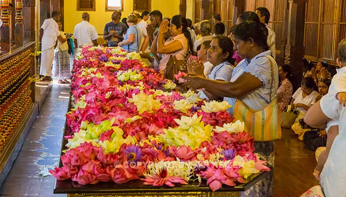 Kandy - Tempel van de Tand