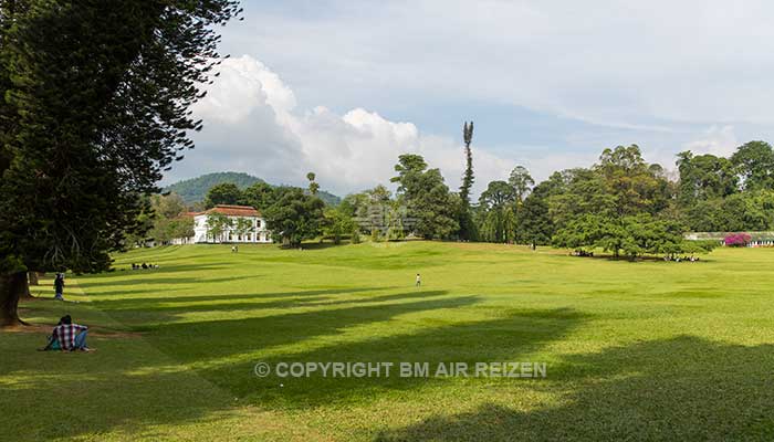 Peradeniya - botanische tuin