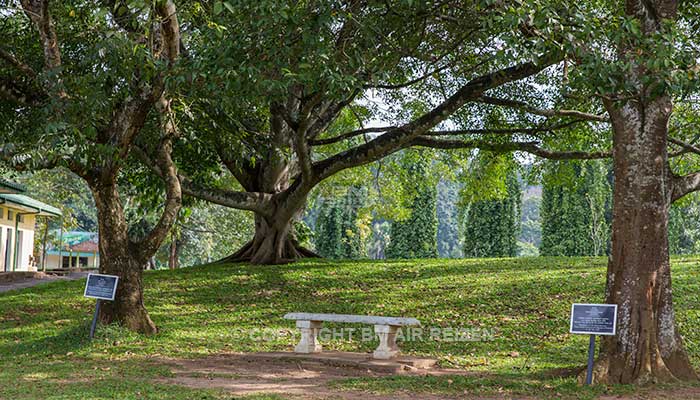 Peradeniya - botanische tuin