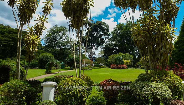 Peradeniya - botanische tuin