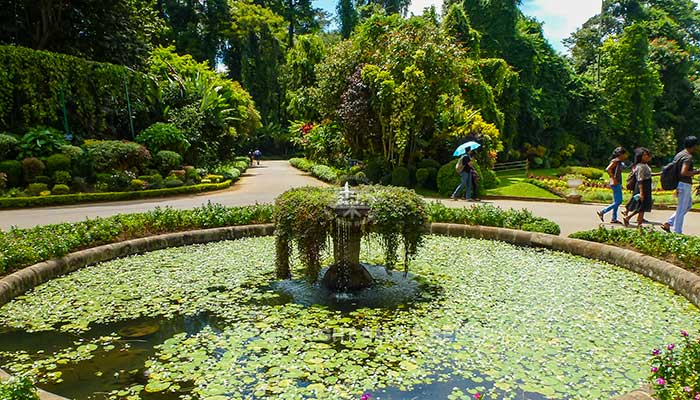 Peradeniya - botanische tuin