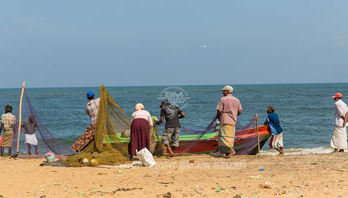 Negombo - vismarkt