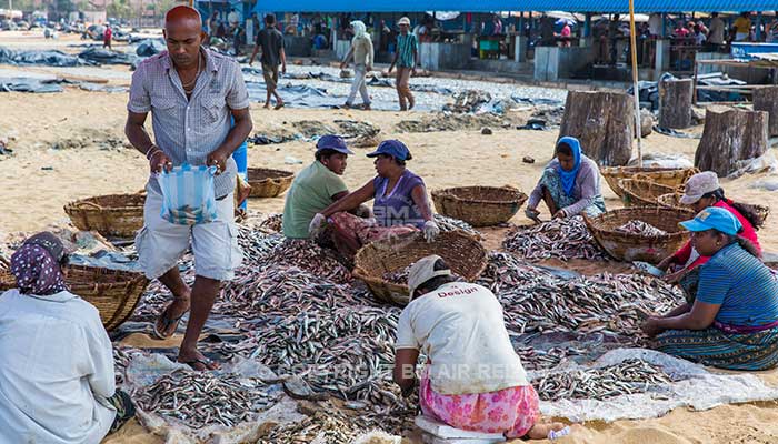 Negombo - vismarkt