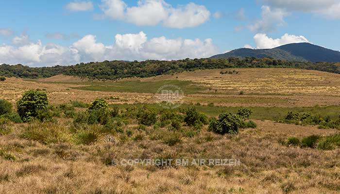 Nuwara Eliya - Horton Plains National Park