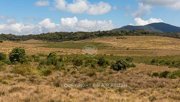 Nuwara Eliya - Horton Plains National Park