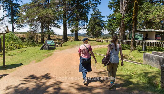 Nuwara Eliya - Horton Plains National Park