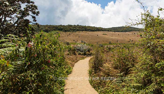 Nuwara Eliya - Horton Plains National Park