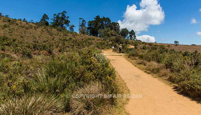 Nuwara Eliya - Horton Plains National Park