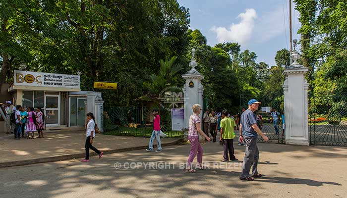 Peradeniya - botanische tuin