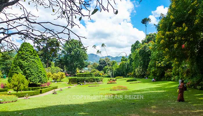 Peradeniya - botanische tuin