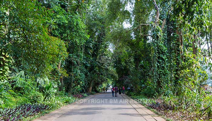 Peradeniya - botanische tuin