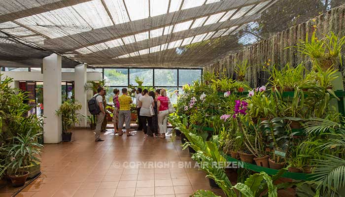 Peradeniya - botanische tuin