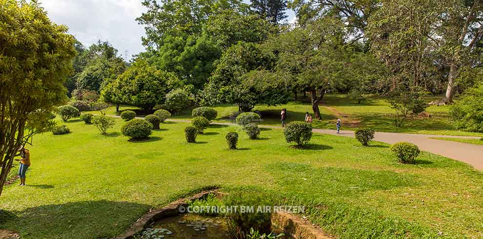 Peradeniya - botanische tuin