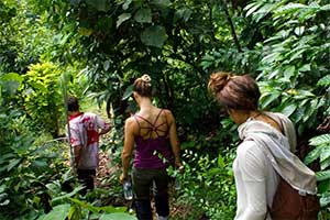 Polwattha Eco Lodge - trekking