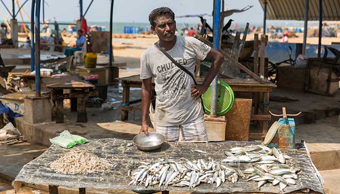 Negombo - Vismarkt